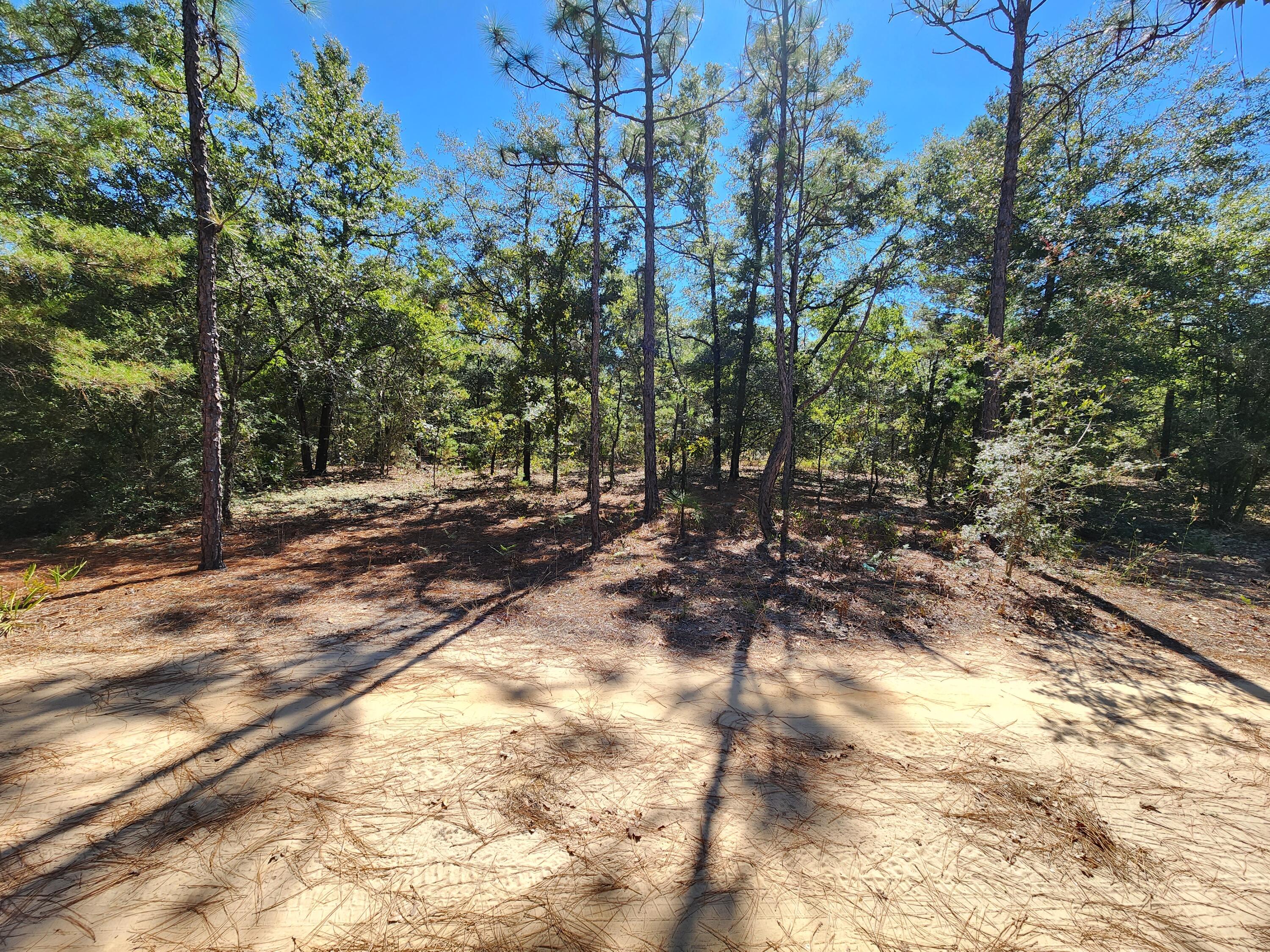 OAKWOOD HILLS UNIT 2 - Land