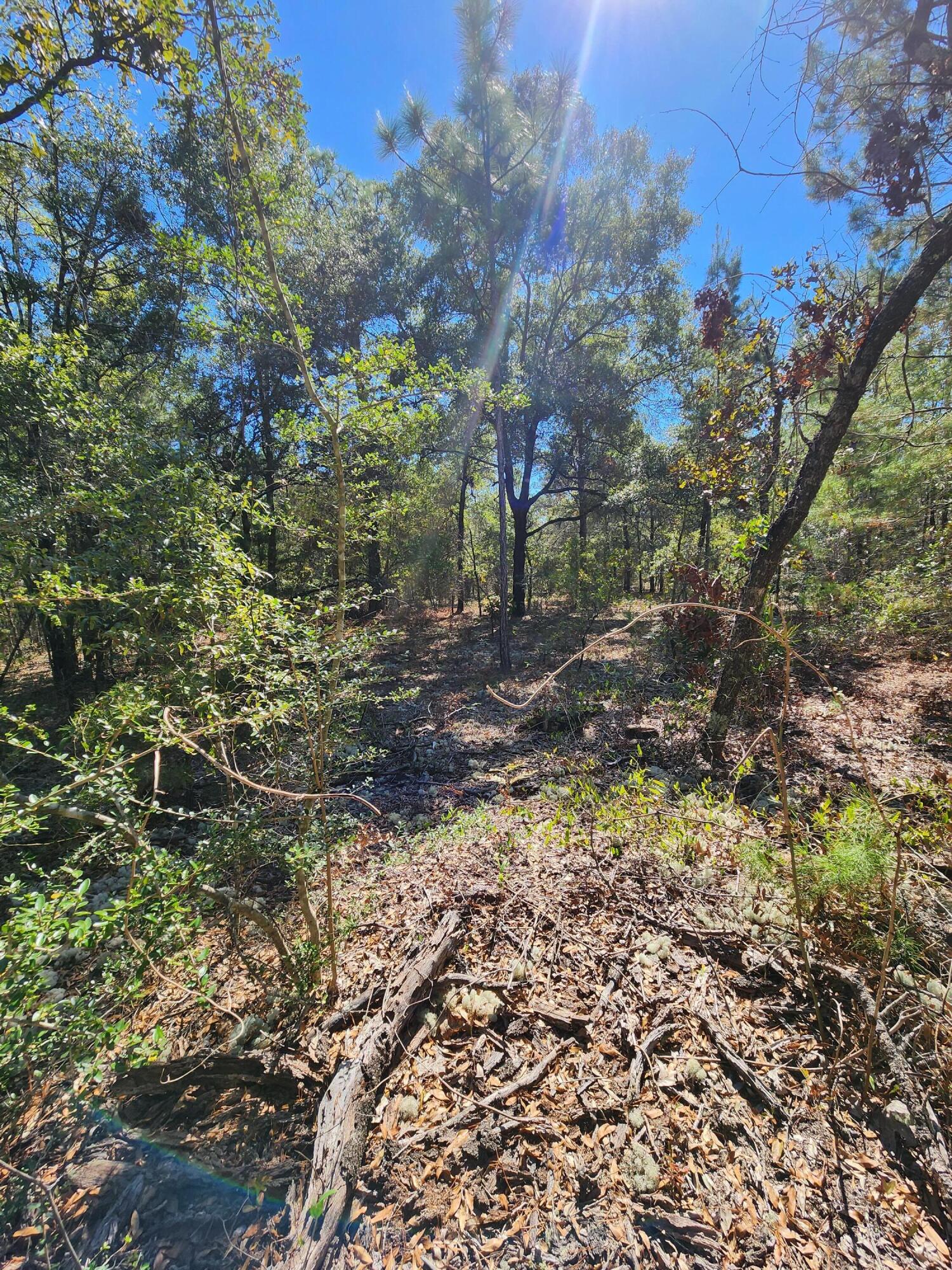 OAKWOOD HILLS UNIT 2 - Land