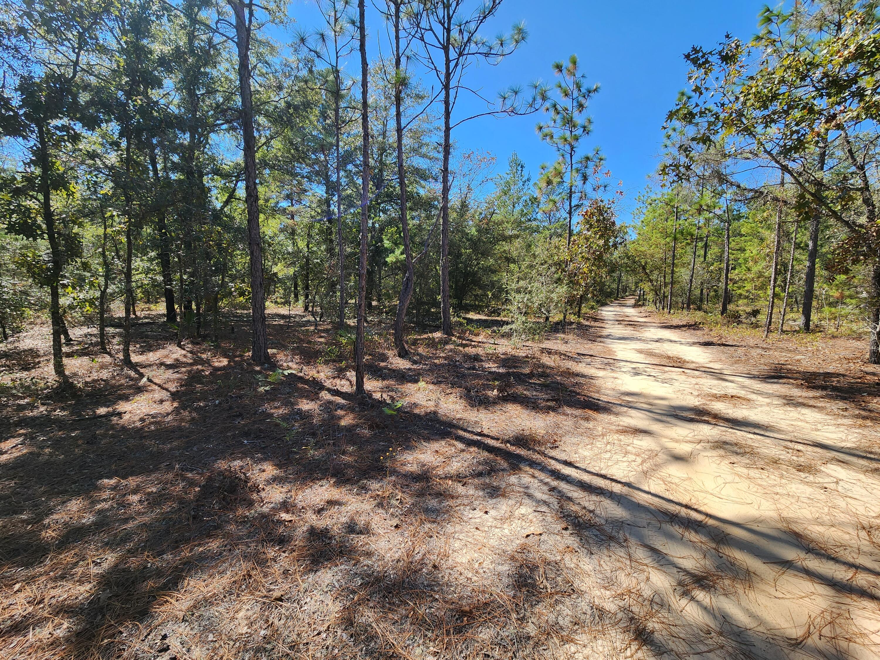 OAKWOOD HILLS UNIT 2 - Land