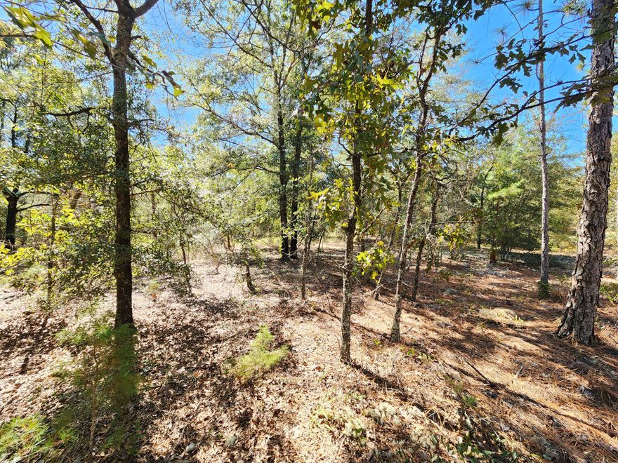 BACK ON MARKET! Due to no fault of Seller!  Do Miss Out on This Deal!  

Not One, but Two Beautiful Lots waiting for you to build!

No HOA. Minimum Restrictions. Modular Homes Allowed.  

Property appears to be Flood Zone X and shows no wetlands per the Walton Co. GIS Mapping.  

There are no existing utilities. 
Well/Power/Septic required.

Easy access to the I-10 & CR 285 south making it a great location for work no matter what direction you need to go! You will be approx. 30-45 mins to most workplaces as well as the beautiful white sandy beaches of Florida famous Emerald Gulf Coast and Crab Island. Information contained within this listing is deemed to be accurate but is not guaranteed.