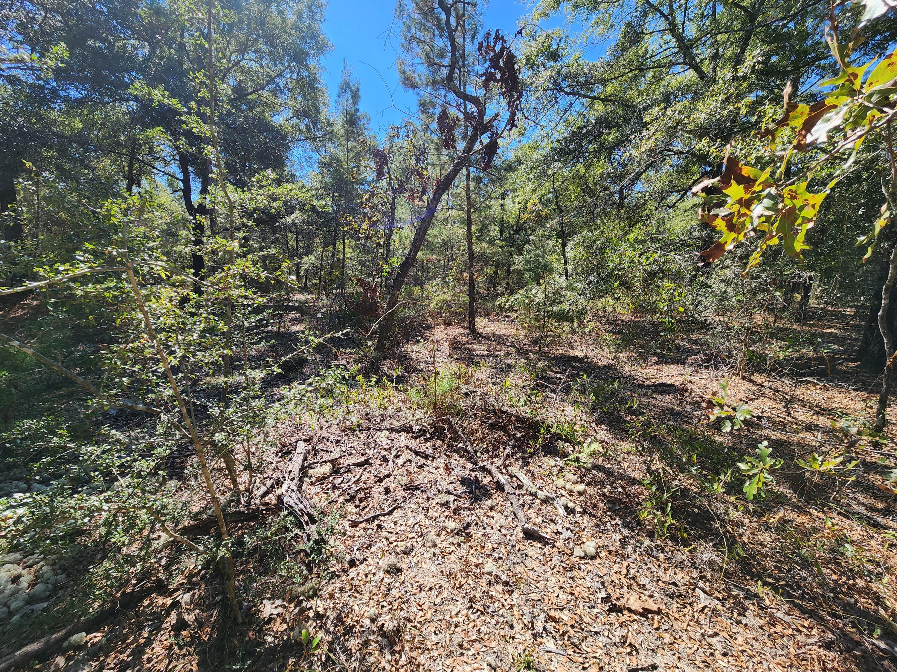 OAKWOOD HILLS UNIT 2 - Land