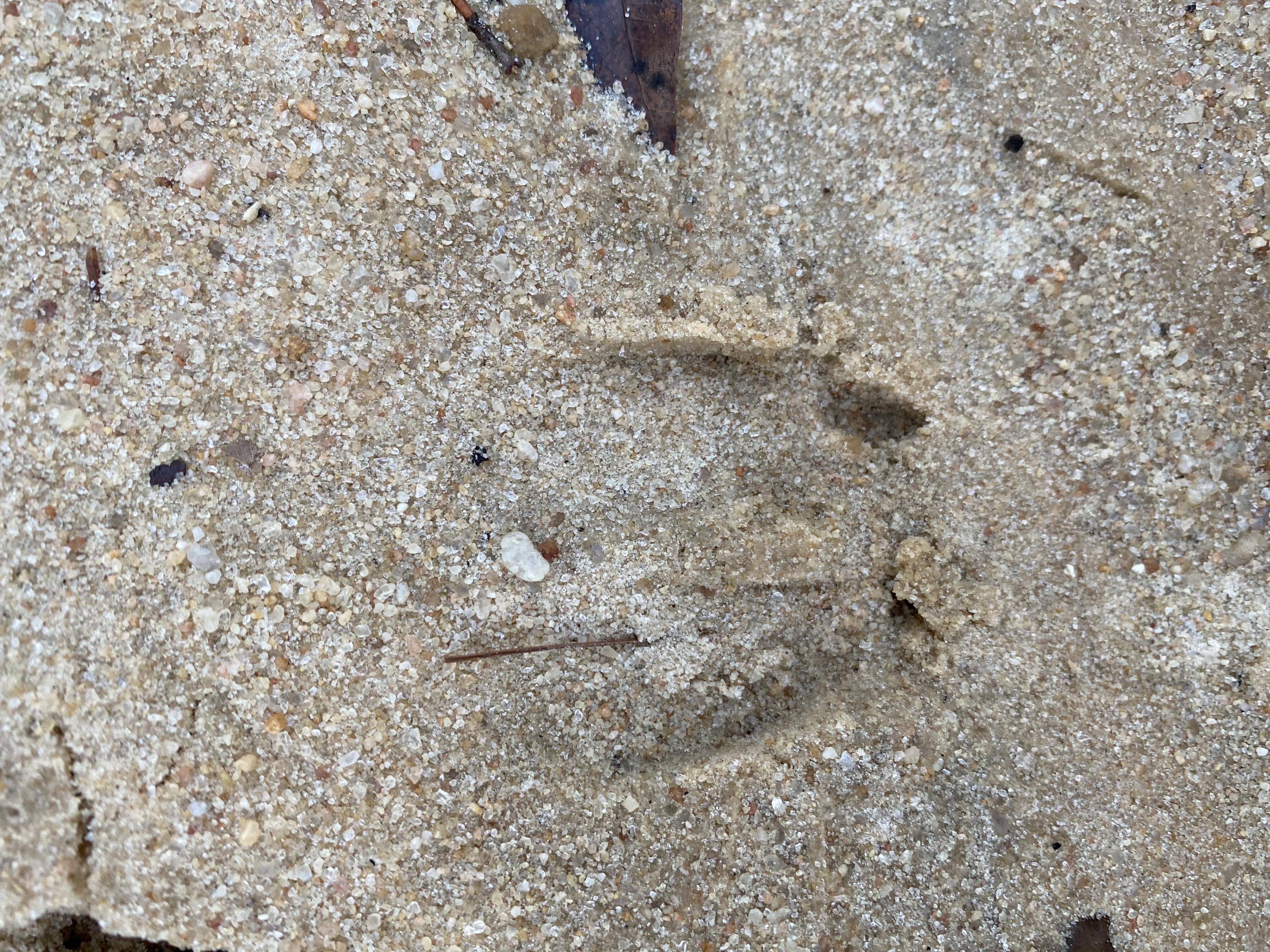 METES & BOUNDS - Farm