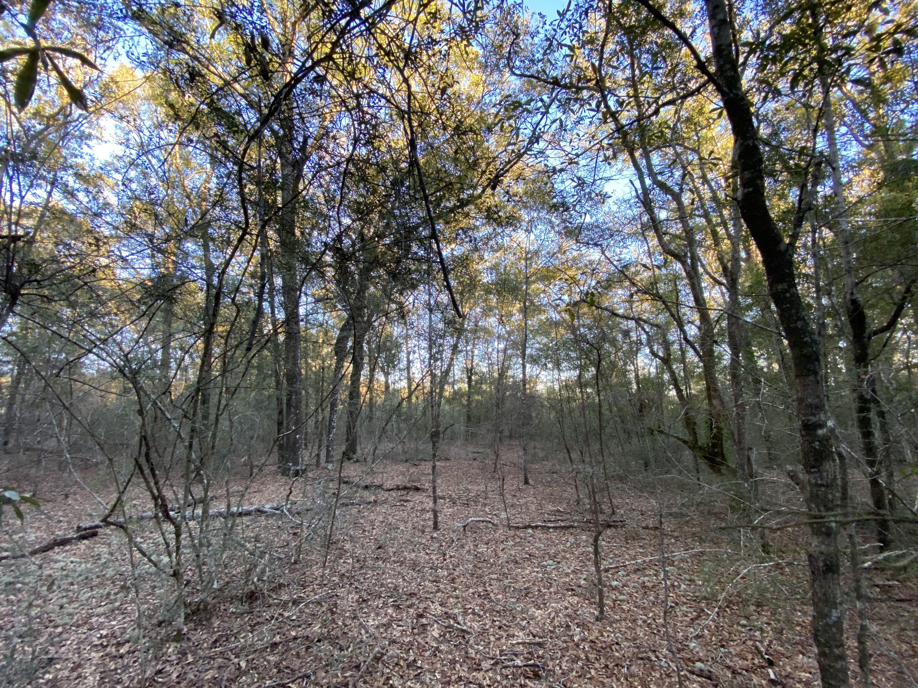 METES & BOUNDS - Farm