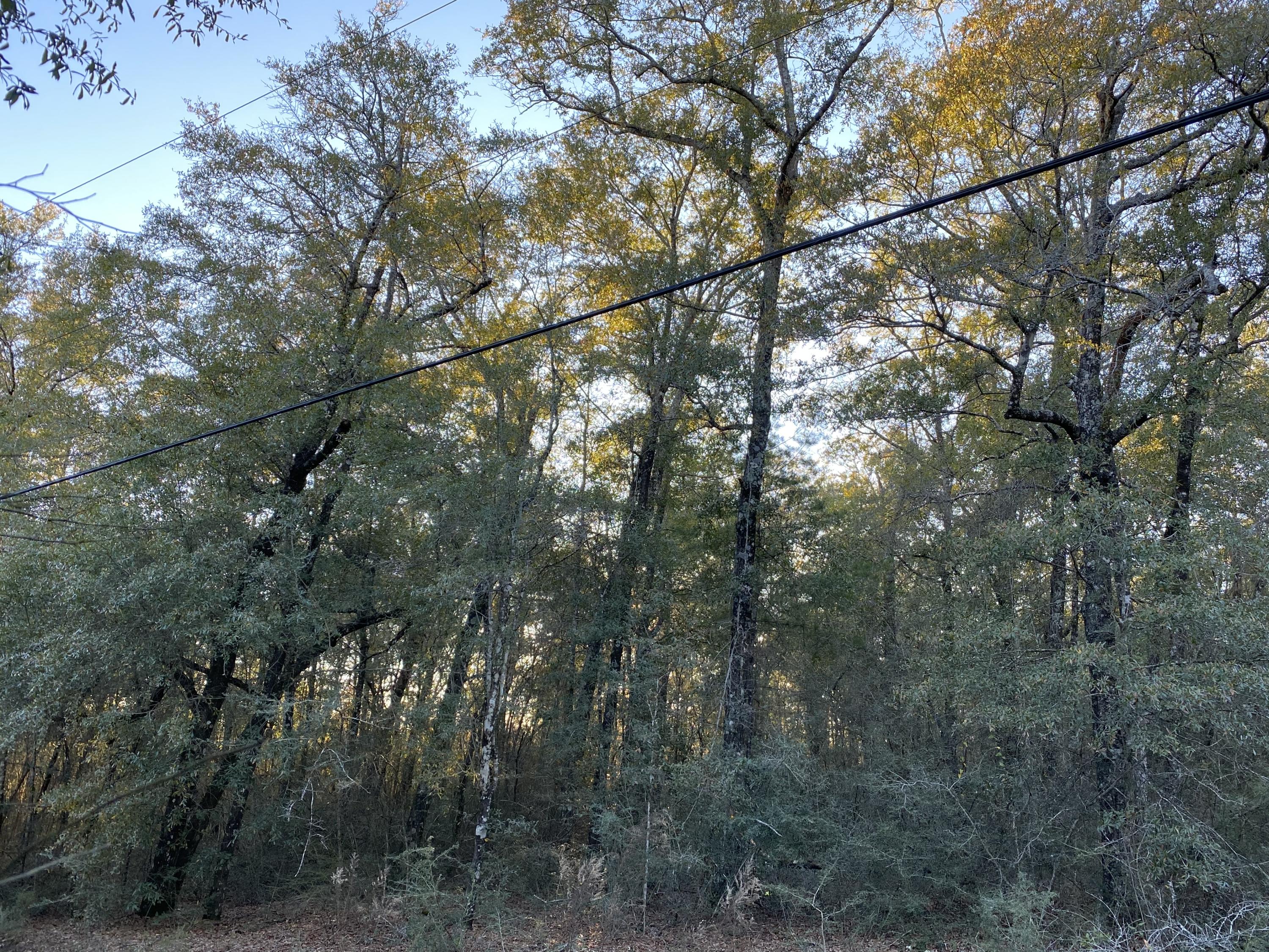 METES & BOUNDS - Farm