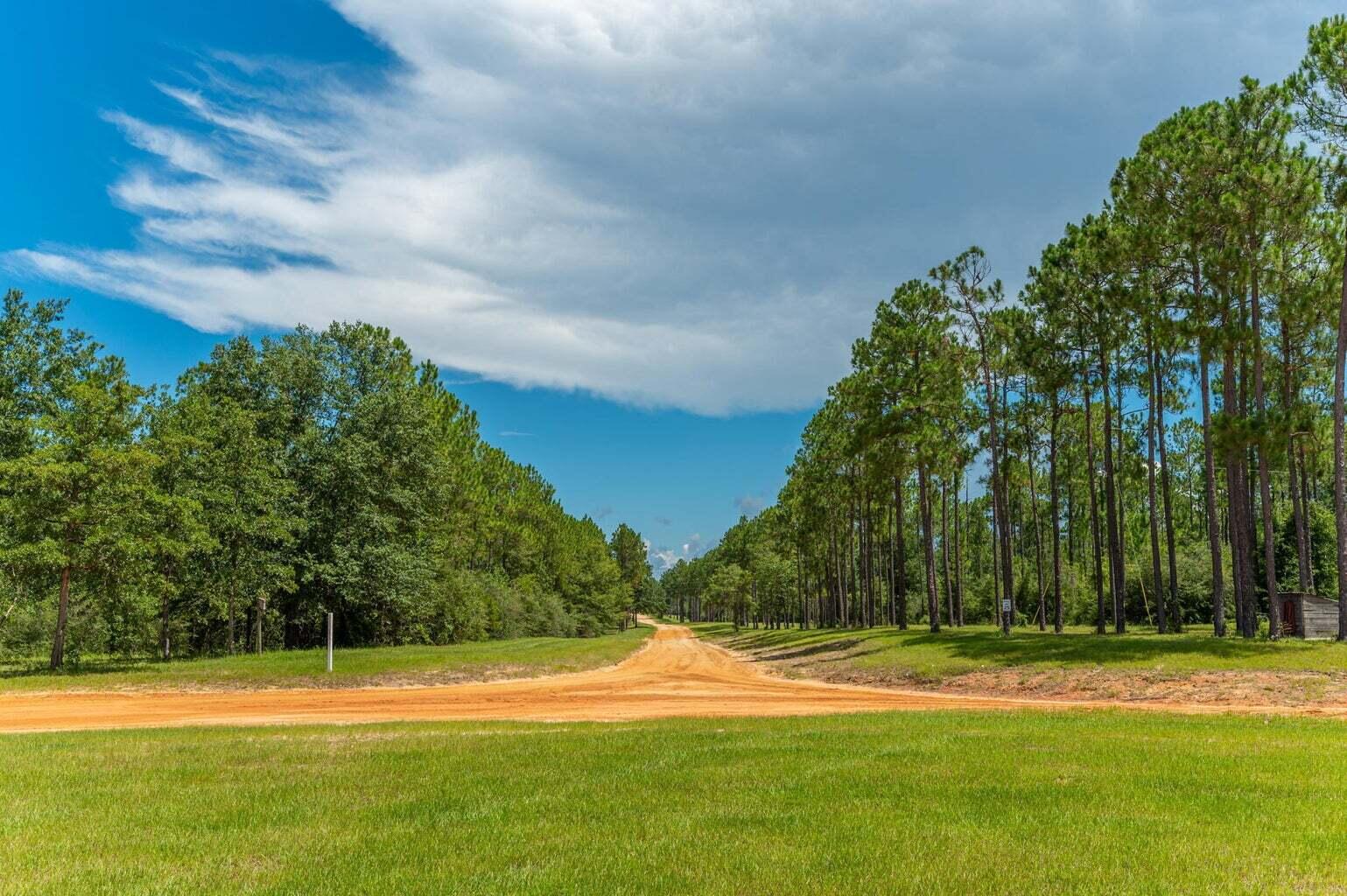 WALTON PLANTATION - Land