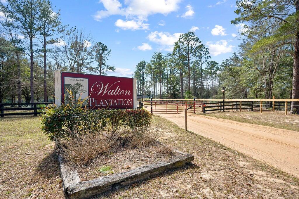 WALTON PLANTATION - Land