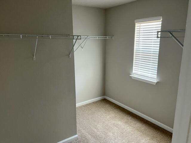 HAMMOCK BAY - Residential Lease
