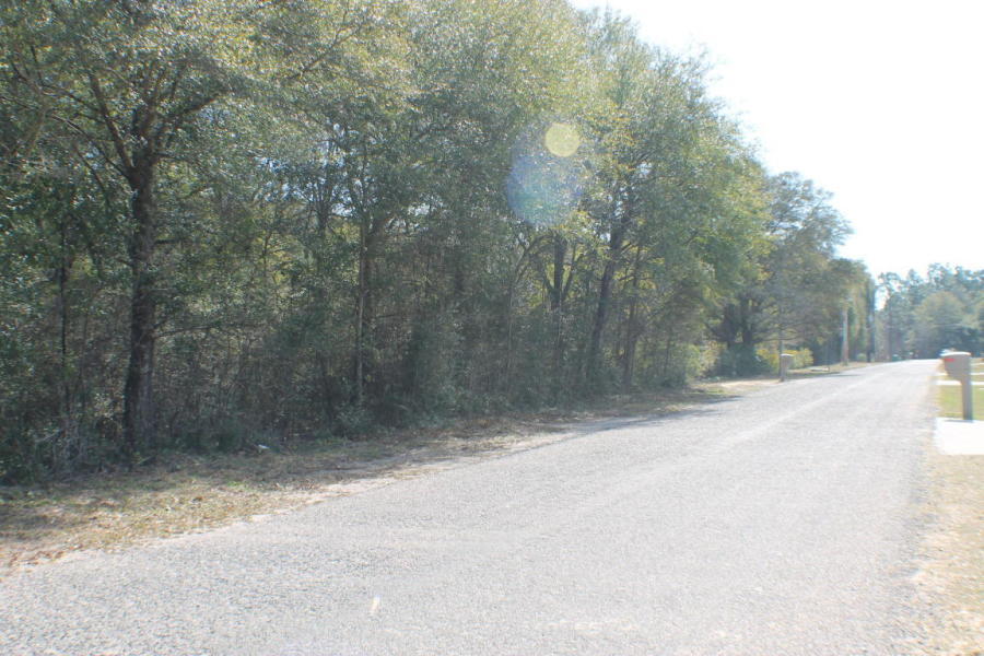 Homesite Dream! Huge hardwoods small creek and lots of Paved road frontage! This location is in the Auburn area near the new developing commercial of North Crestview! With highway 85 near by its just a quick commute to Crestview, Eglin and Destin Beaches! Bring you barn, RV and your house-plans today! Additional acreage available!!