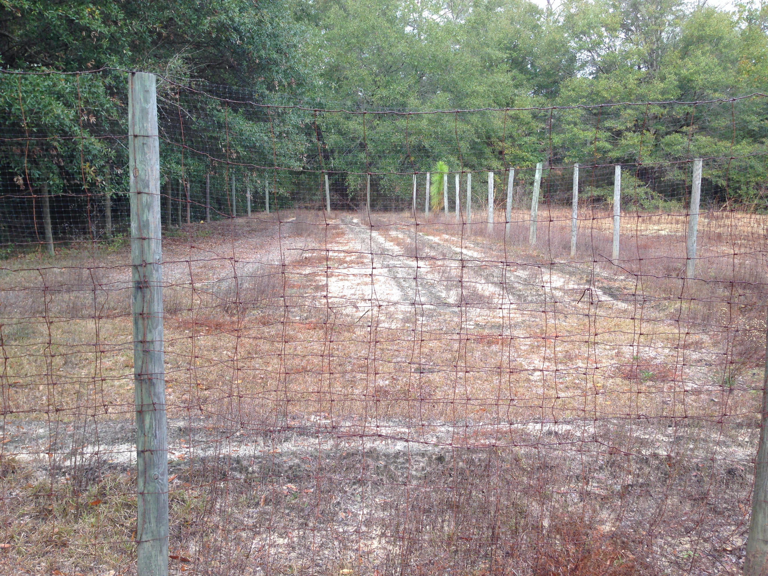 County - Residential