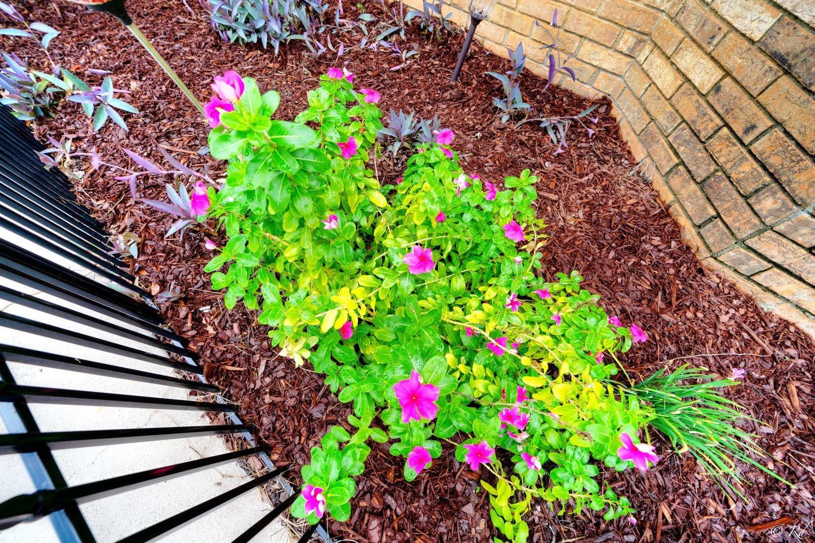 SPRINGLAKE - Residential