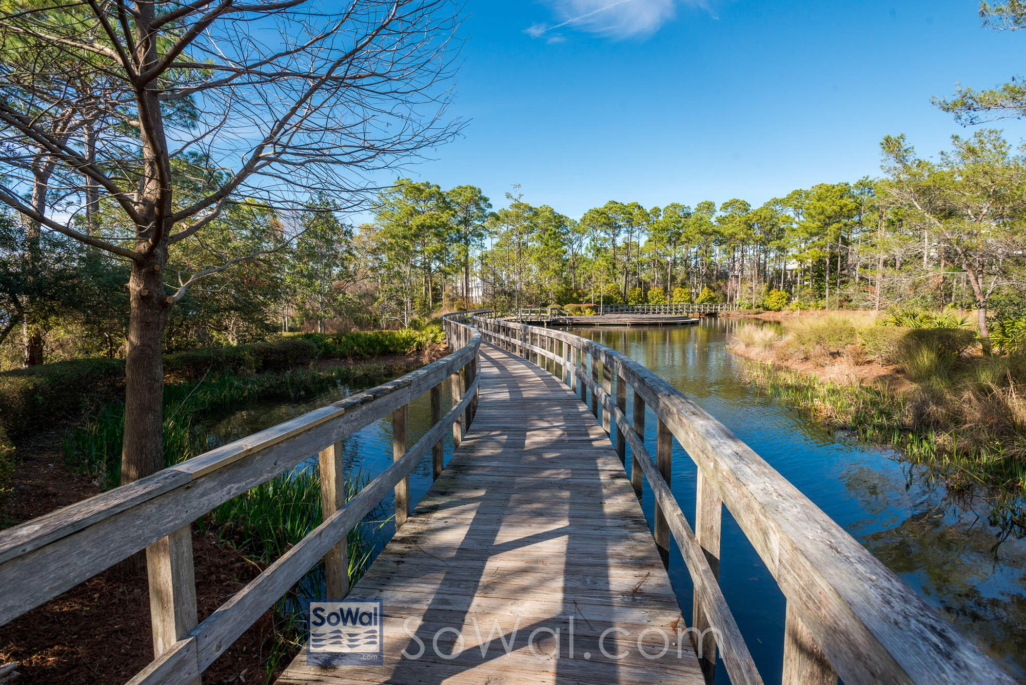 WATERCOLOR - Residential