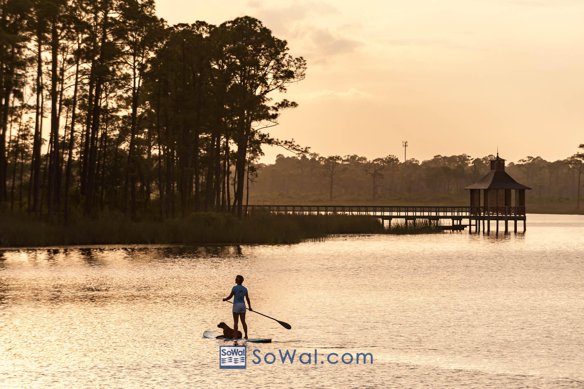 WATERCOLOR - Residential
