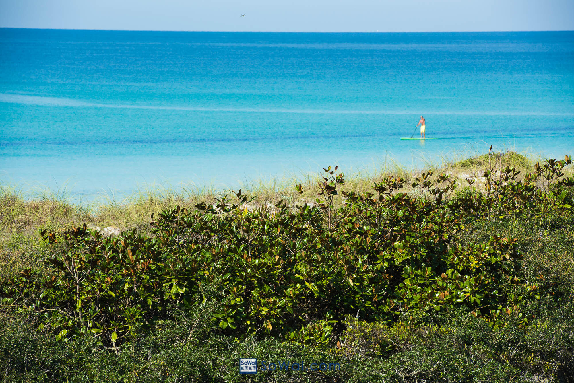 WATERCOLOR - Residential