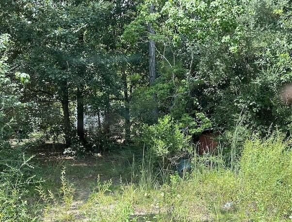 Two lots in the fast growing area of Town of Santa Rosa. New homes going up all over. Don't miss your opportunity to live in an affordable area of Santa Rosa Beach.AE Flood Zone.Water and Sewer are available from Regional Utilities.