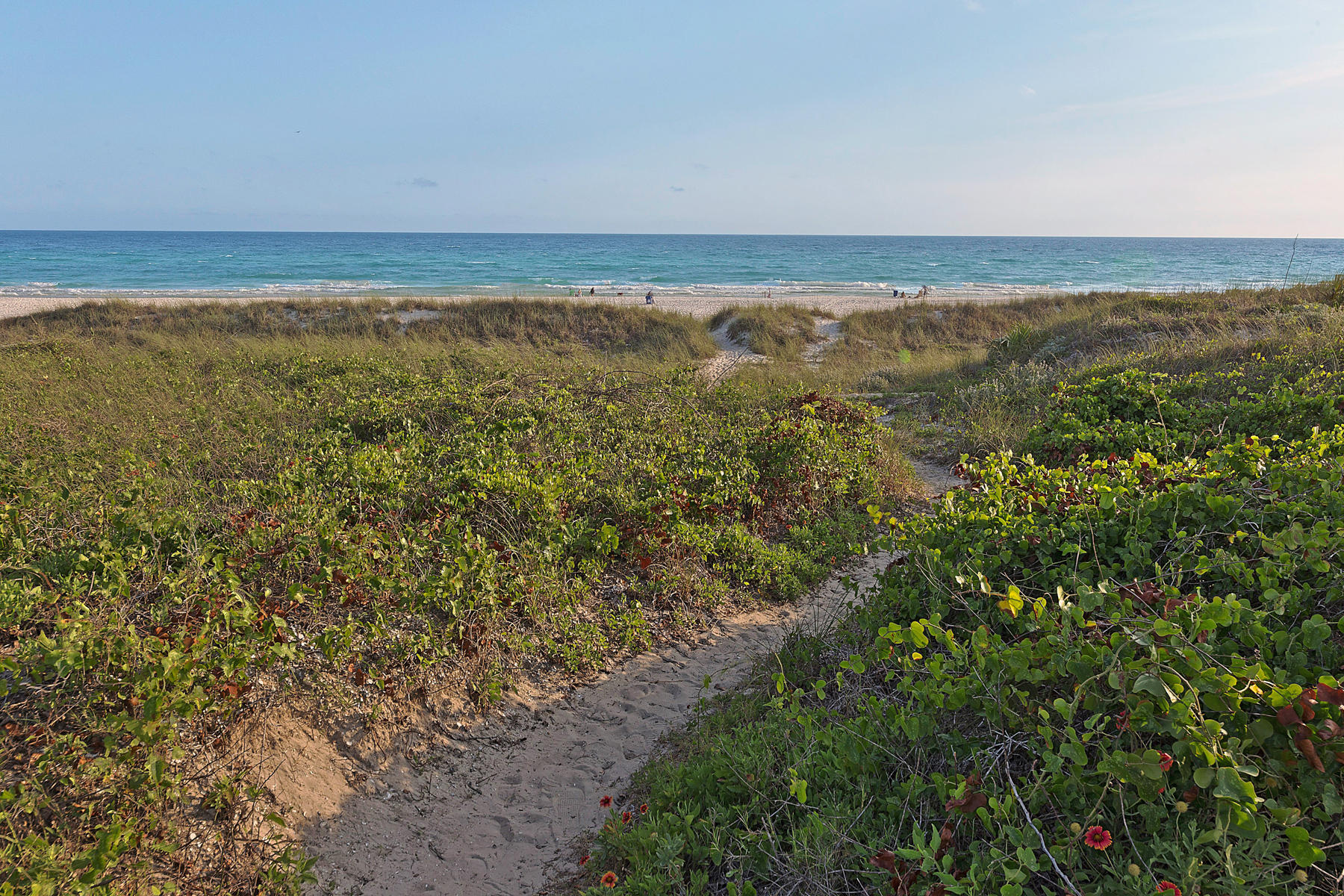 LAGUNA BEACH - Residential