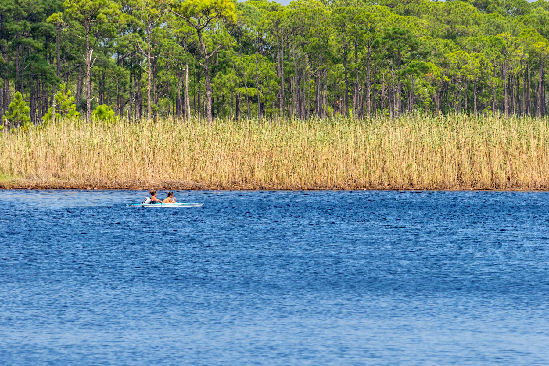 GRAYTON BEACH - Residential