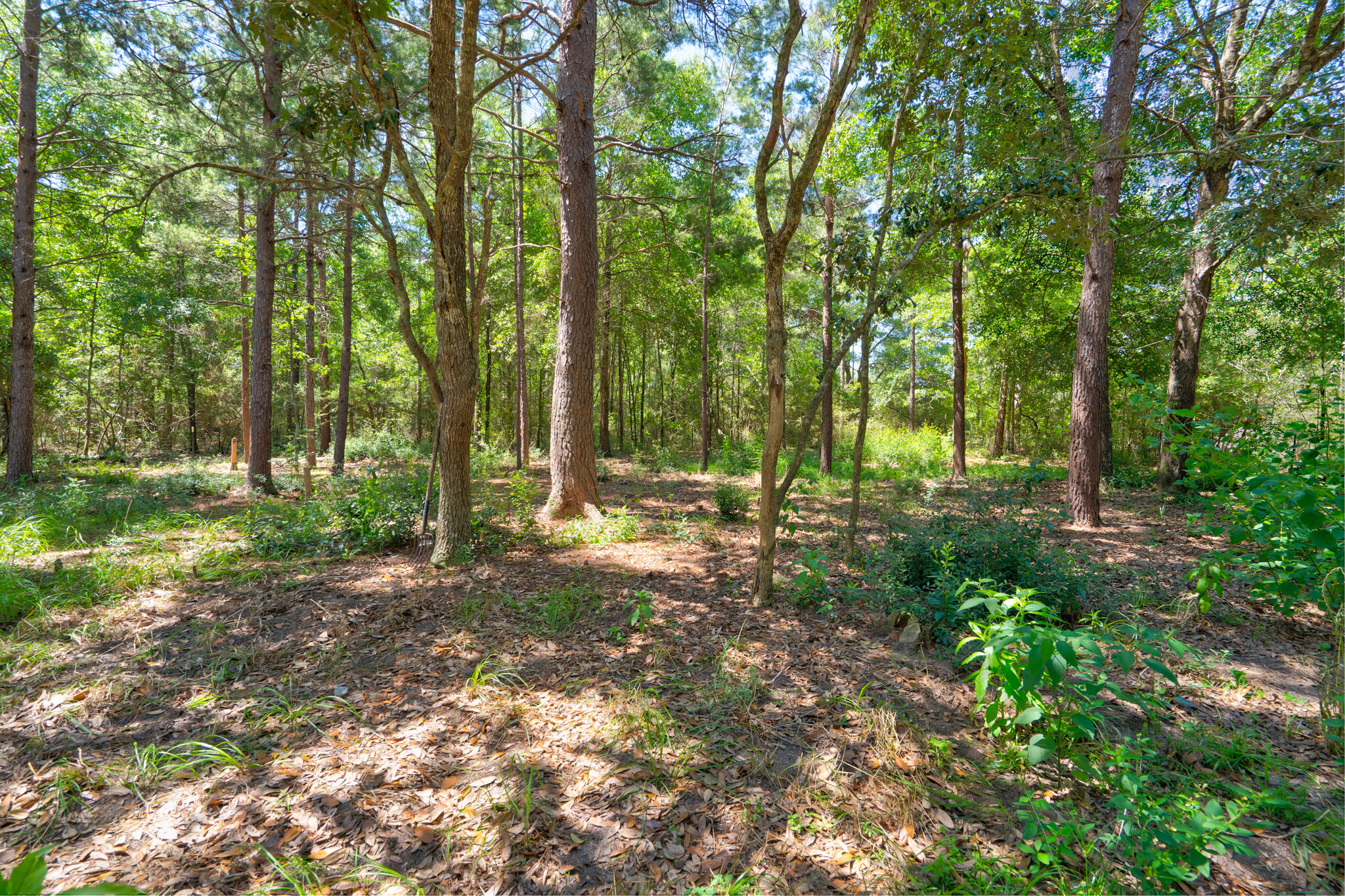 COUNTRY BREEZE EST LOT 2 - Residential