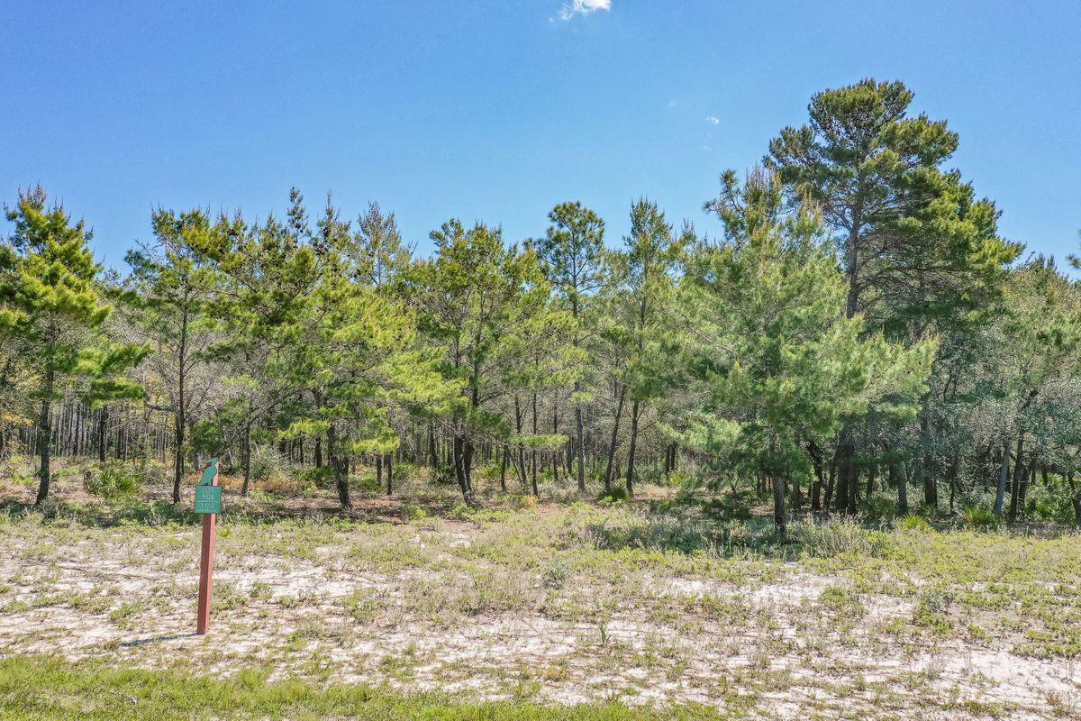 WILD HERON PHASE I - Land