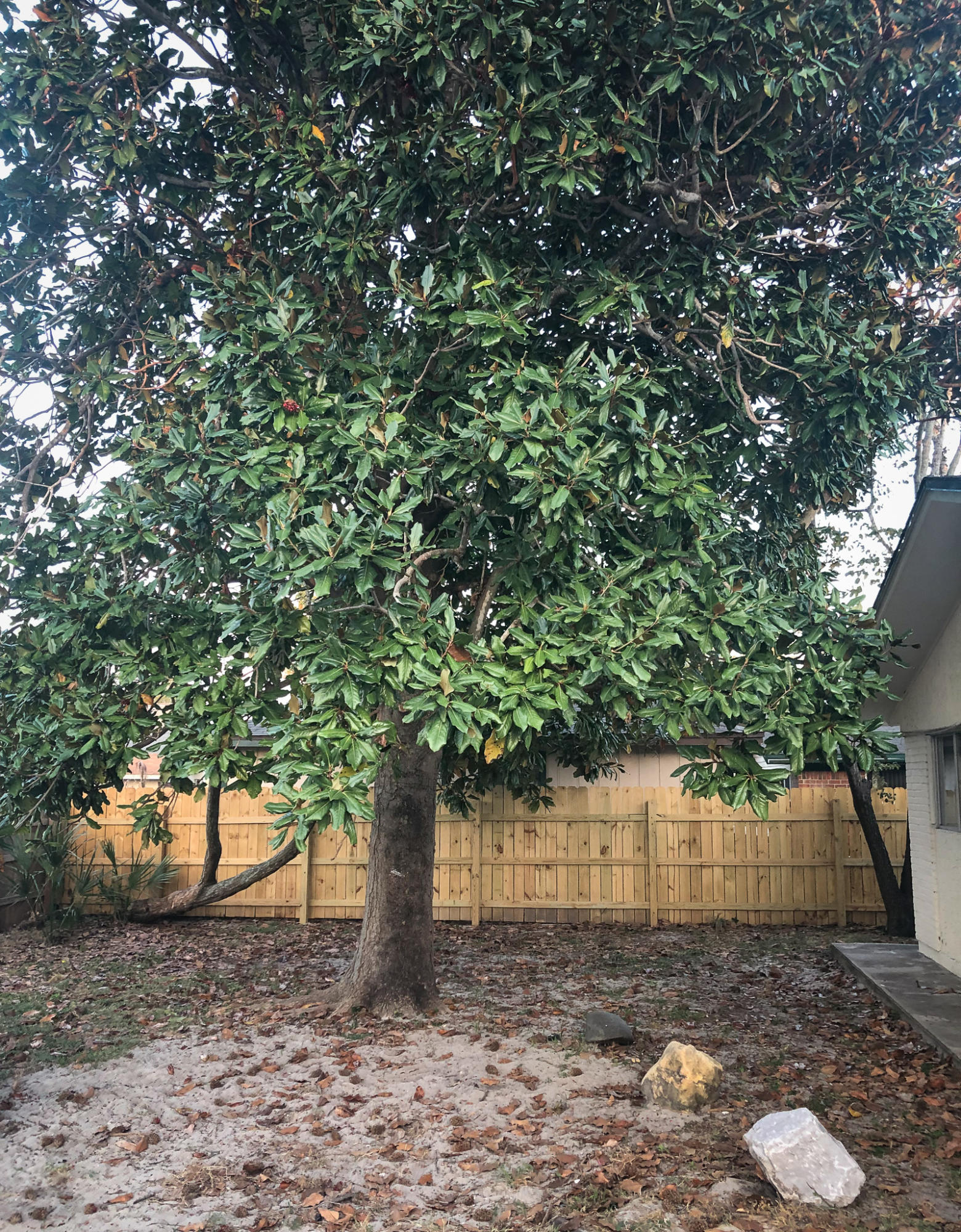 OPEN SANDS - Residential