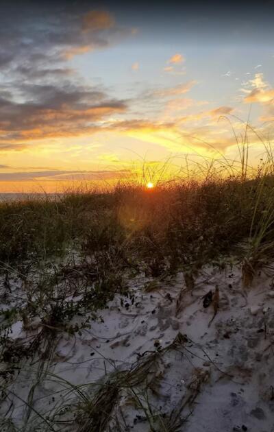 HOLIDAY BEACH - Residential