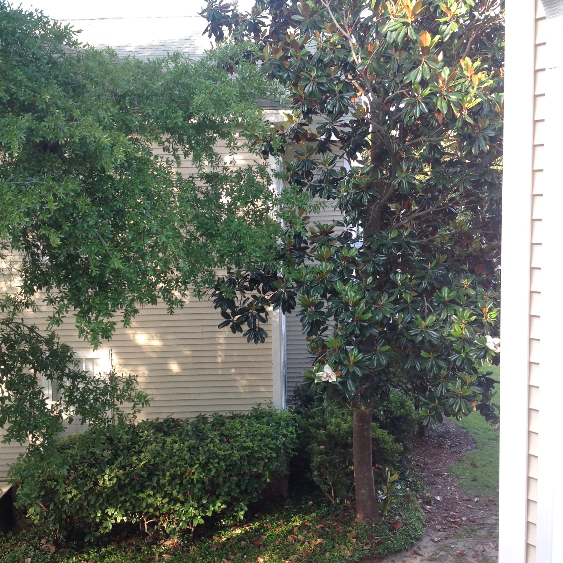 OAKS THE - Residential