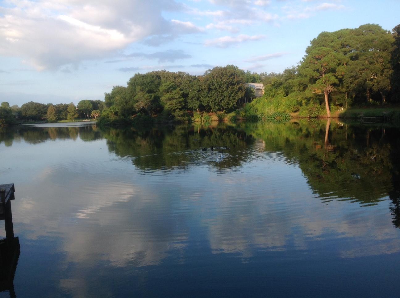 KELL-AIRE GARDENS - Residential