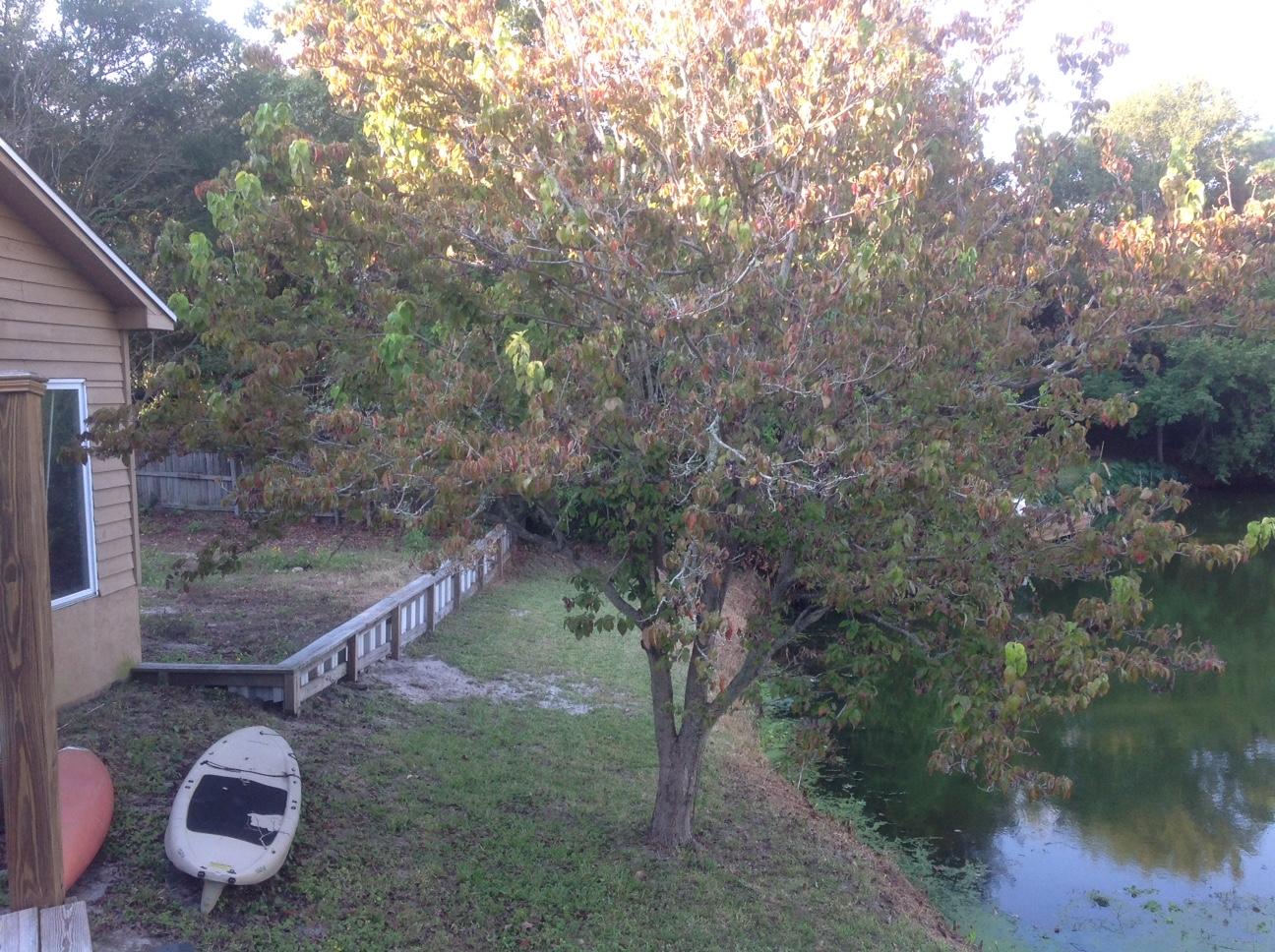 KELL-AIRE GARDENS - Residential