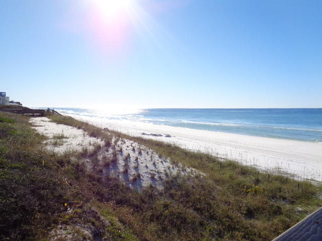 PALMS NORTH A CONDO - Residential