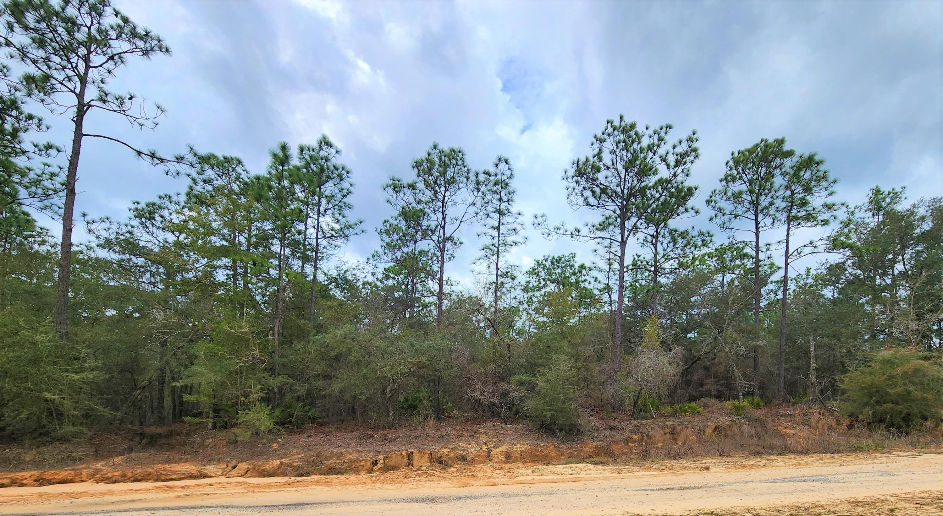 INDIAN SPRINGS - Land