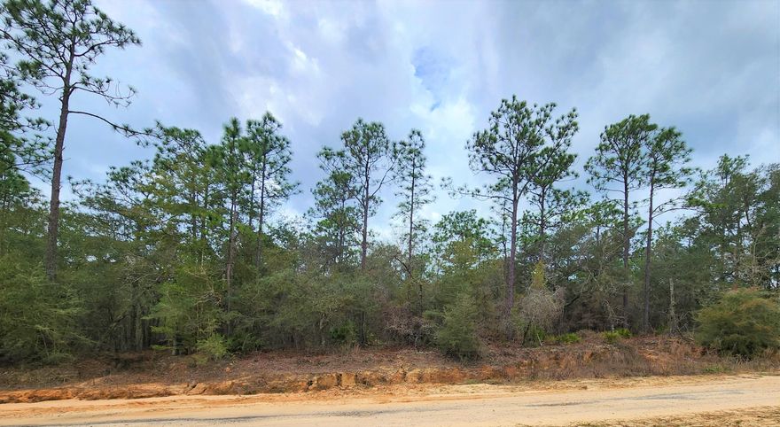 Welcome to your dream building lot - a serene oasis nestled in the heart of peaceful countryside living! This 2.38 acre plot of land offers the perfect canvas for your future home, a tranquil retreat that's just a stone's throw away from the bustling I-10 highway. You'll have plenty of space to create your own private paradise. Located on Hiawatha St, a private road maintained by annual dues, you'll be able to enjoy the quiet and peaceful atmosphere while still being within a few miles of I-10.