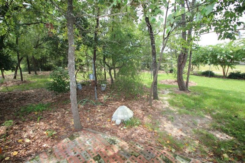 MT OLIVE ESTATES - Residential