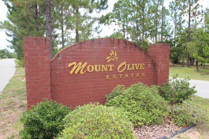 MT OLIVE ESTATES - Residential