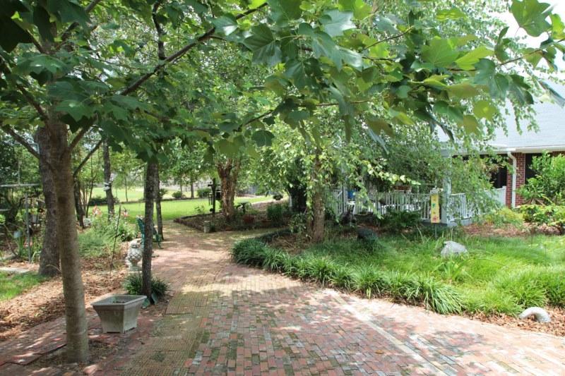 MT OLIVE ESTATES - Residential