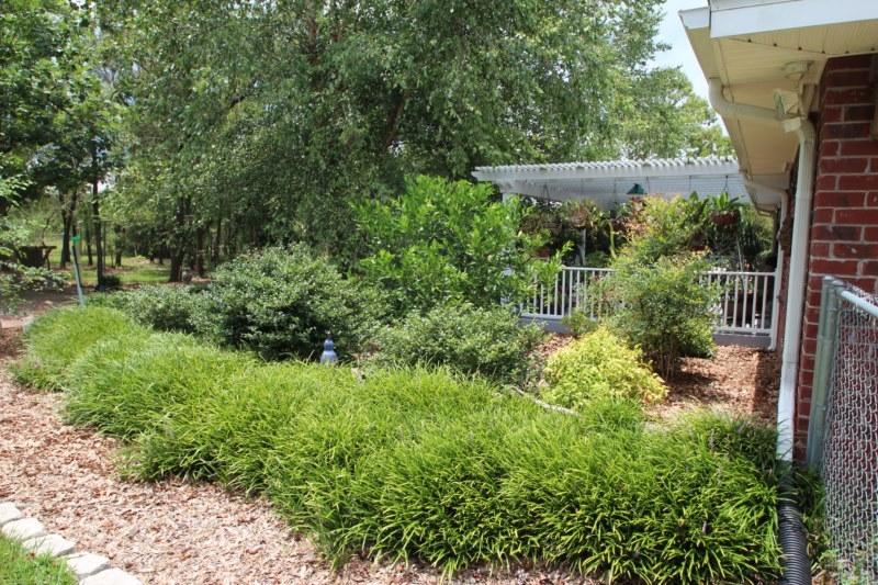 MT OLIVE ESTATES - Residential