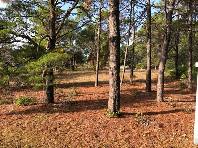 SANTA ROSA RIDGE UNIT 2 - Land