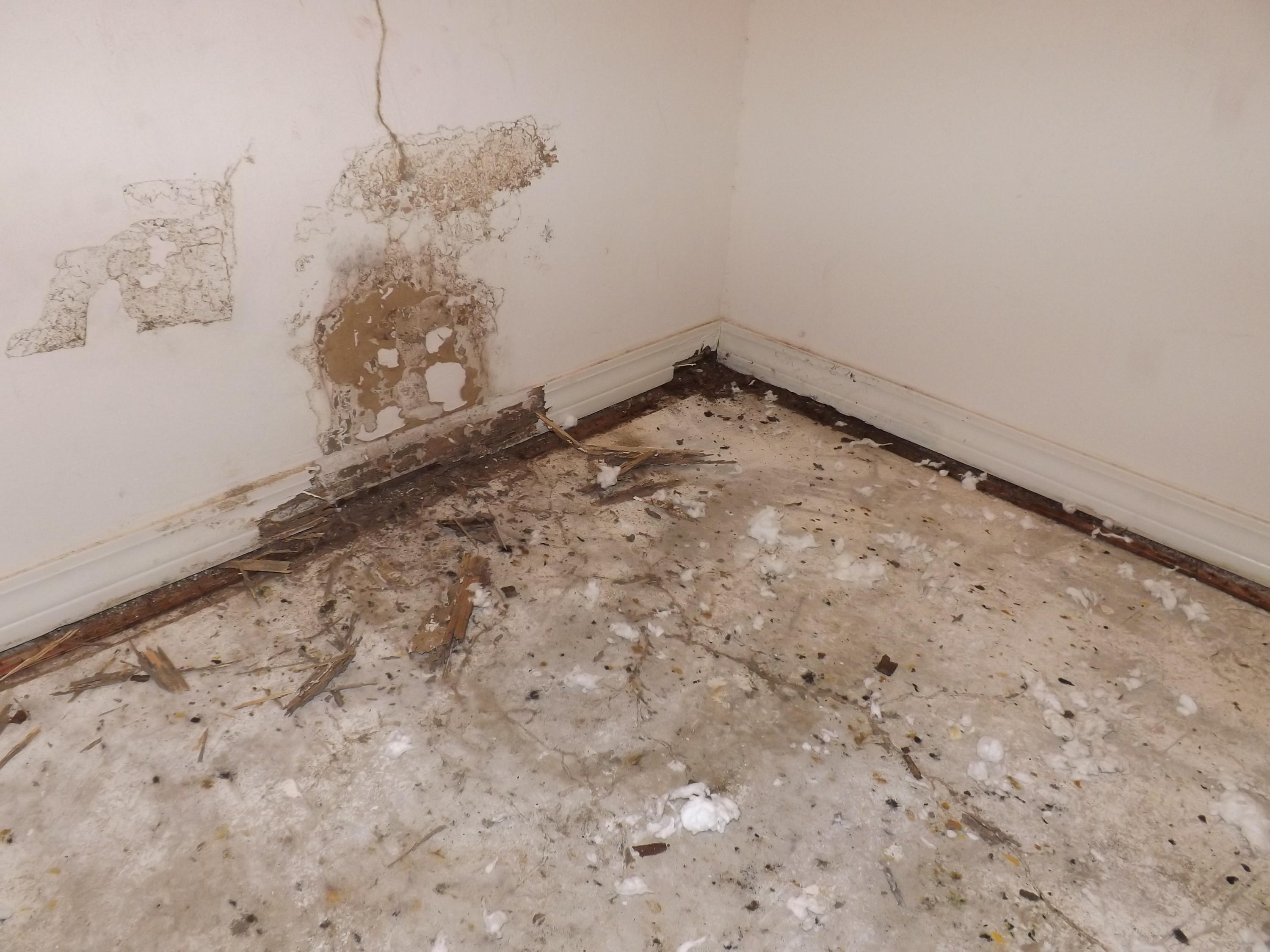 COUNTRYVIEW ESTATES 4TH ADDN PH 4 - Residential