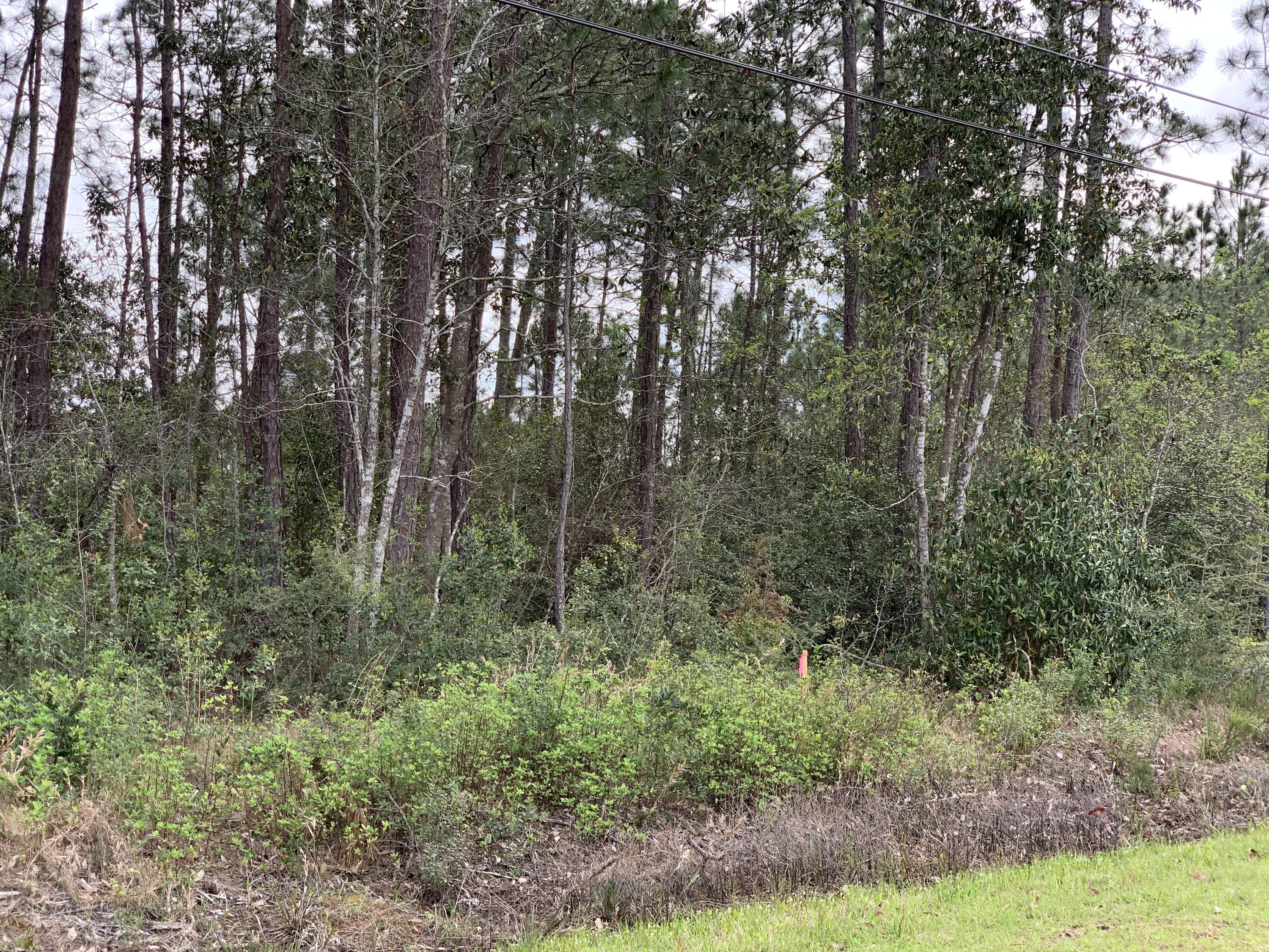 Holley by the Sea - Land