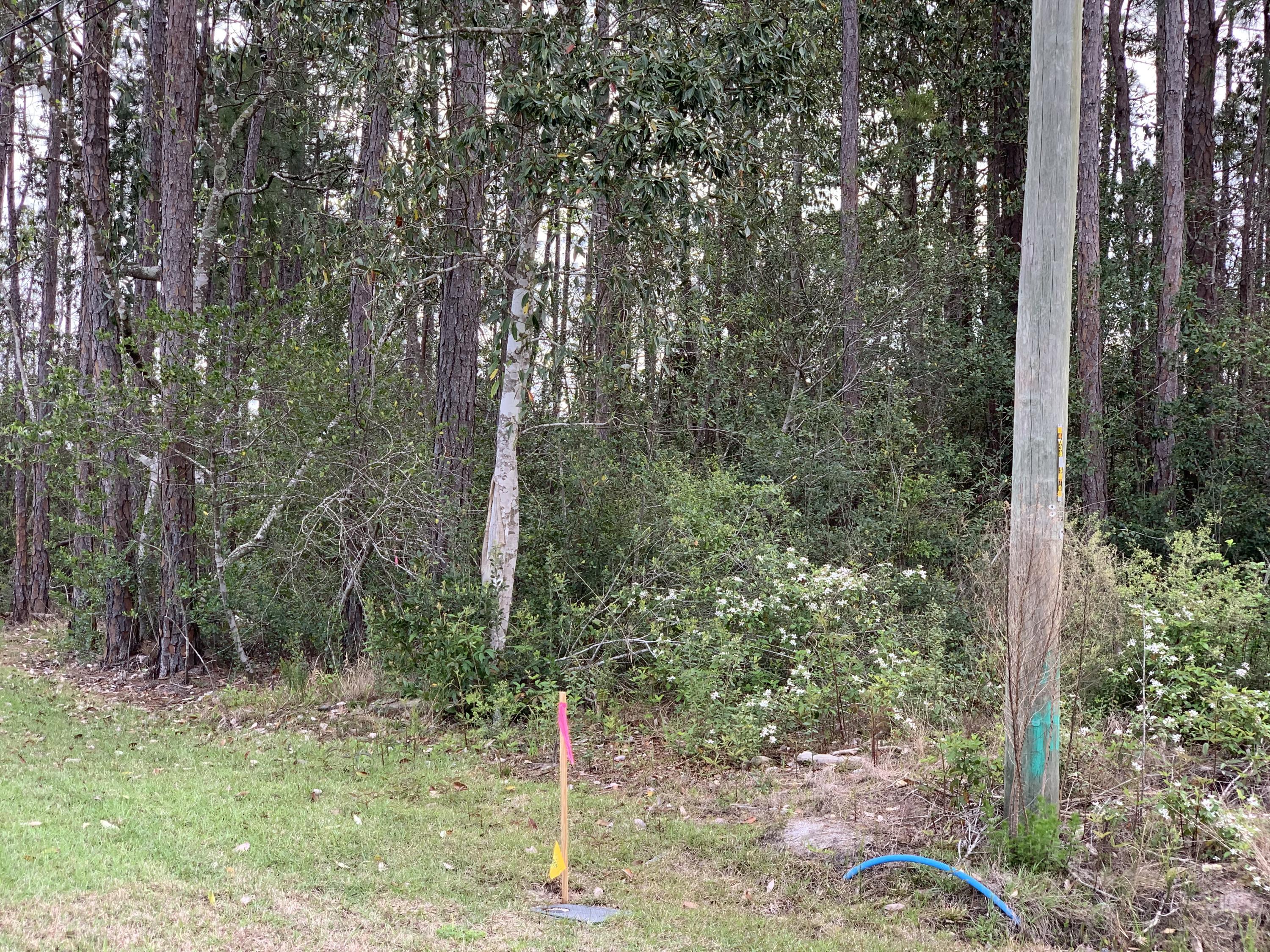 Holley by the Sea - Land