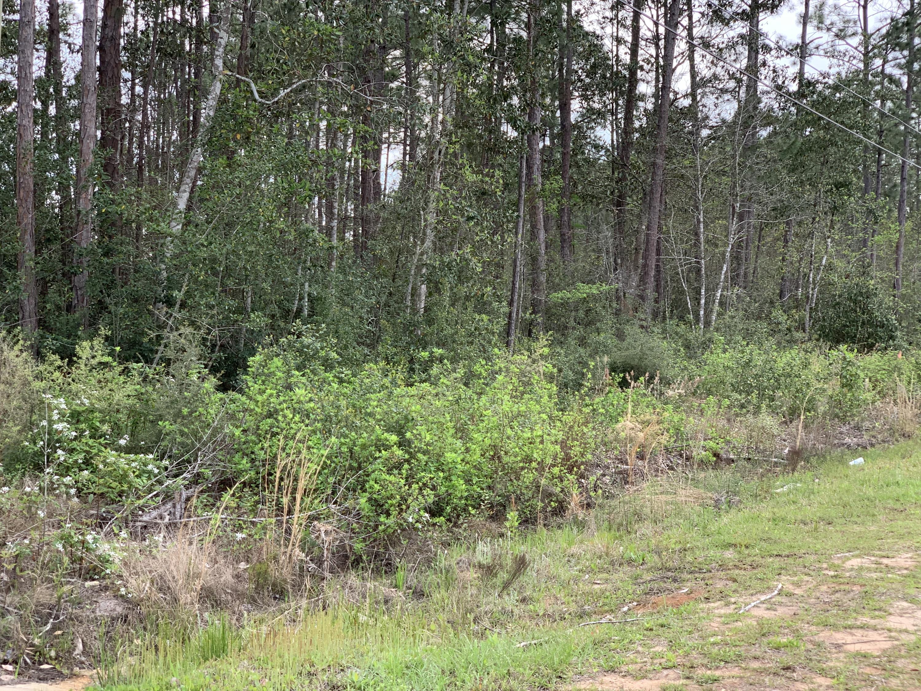 Holley by the Sea - Land