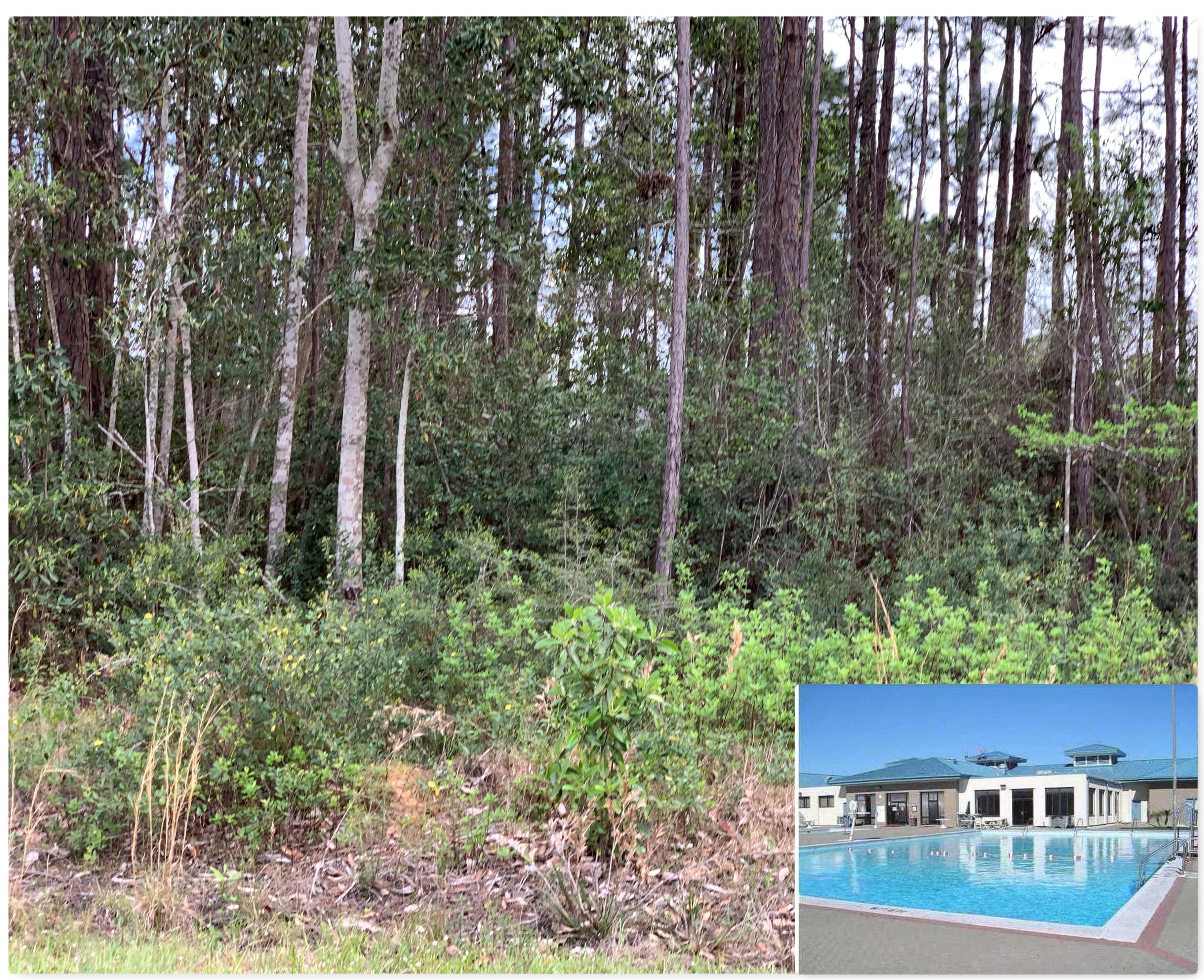 Holley by the Sea - Land