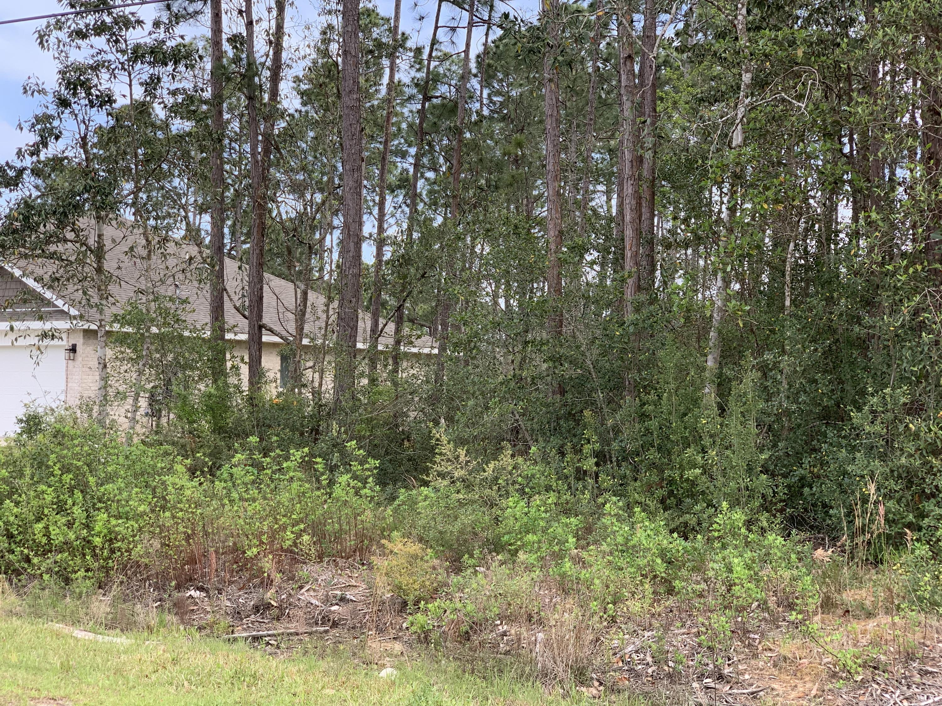 Holley by the Sea - Land