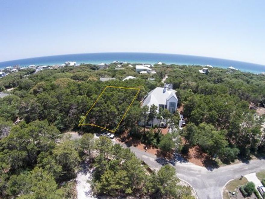 One of the Largest Homesites in Old Seagrove  Seagrove Village Dr. Lot 7 offers many possibilities for your future beach home. The generous 12,000 sq. ft, 89x 144' dimensions allow ample room for the addition of a guest cottage, garage and pool. A welcome alternative for people who want high quality homes & location but prefer the privacy, peace & quiet plus views of the Gulf that Old Seagrove offers. Neighboring home values exceed $2.5 mil+. These elegant homes reflecting coastal architecture are suitable for vacation rental or a permanent residence. No thru traffic or dusty streets. Nearby is Watercolor Crossings, restaurants, shops and a pedestrian easement that takes you to Azalea St. beach walkover. The property has one of the highest elevations in Old Seagrove at approximat