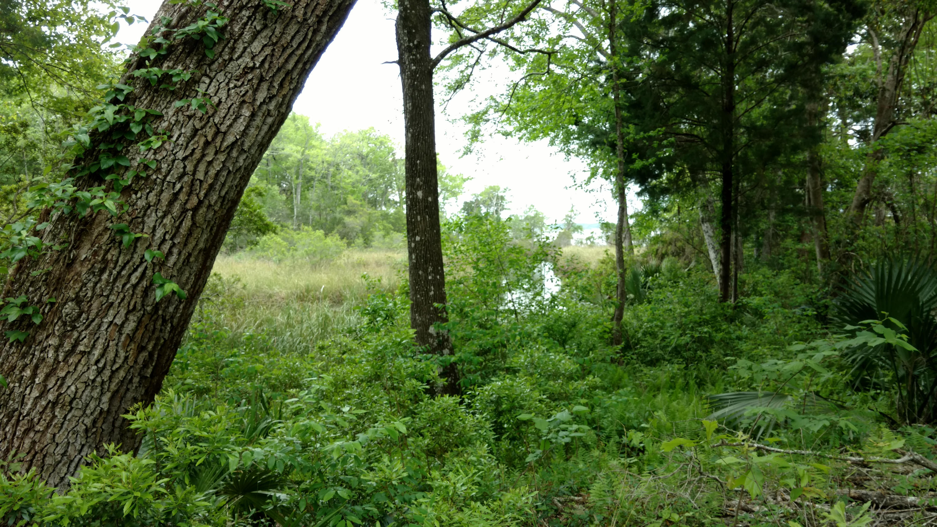 WATERVIEW COVE - Residential