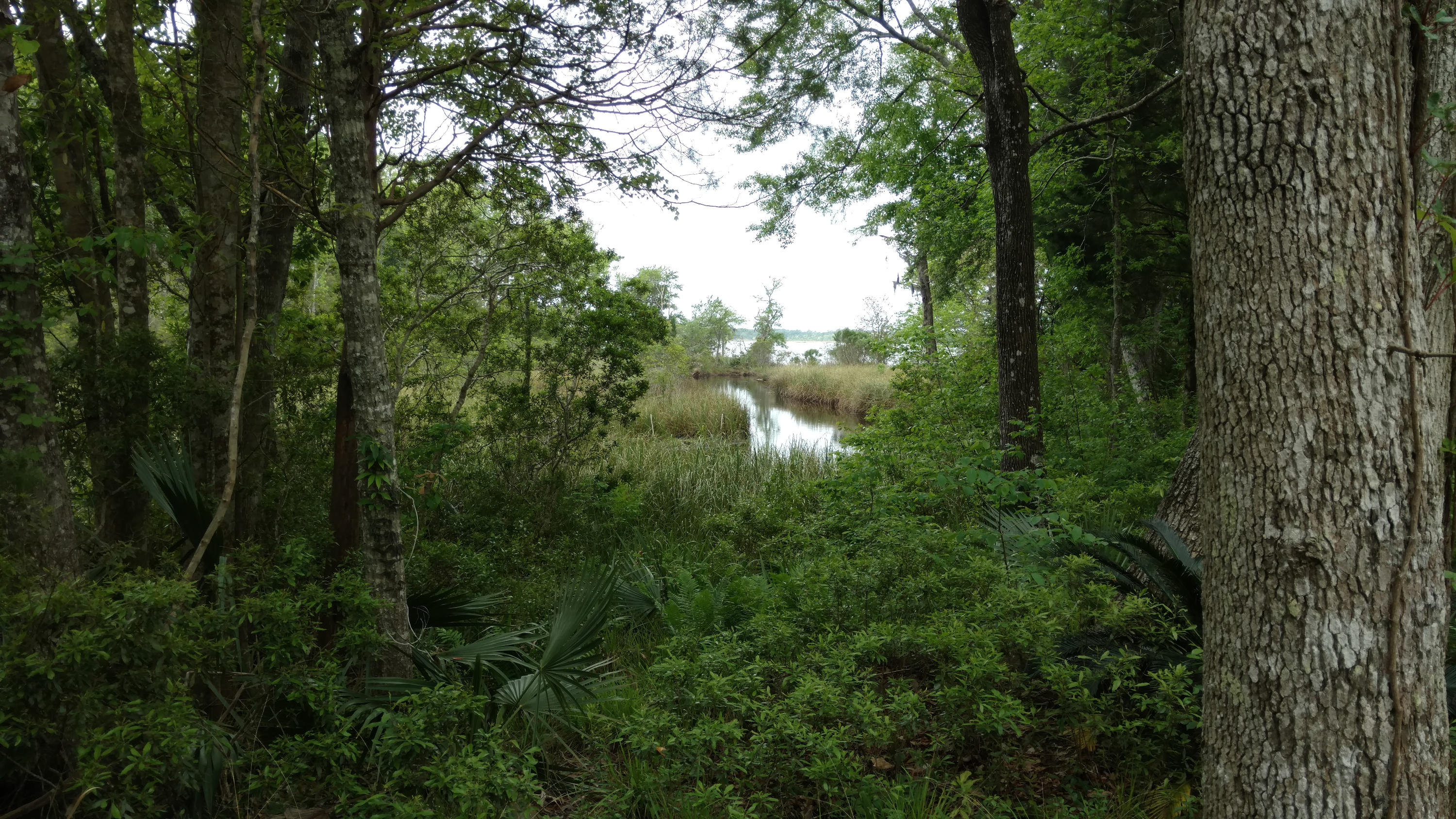 WATERVIEW COVE - Residential