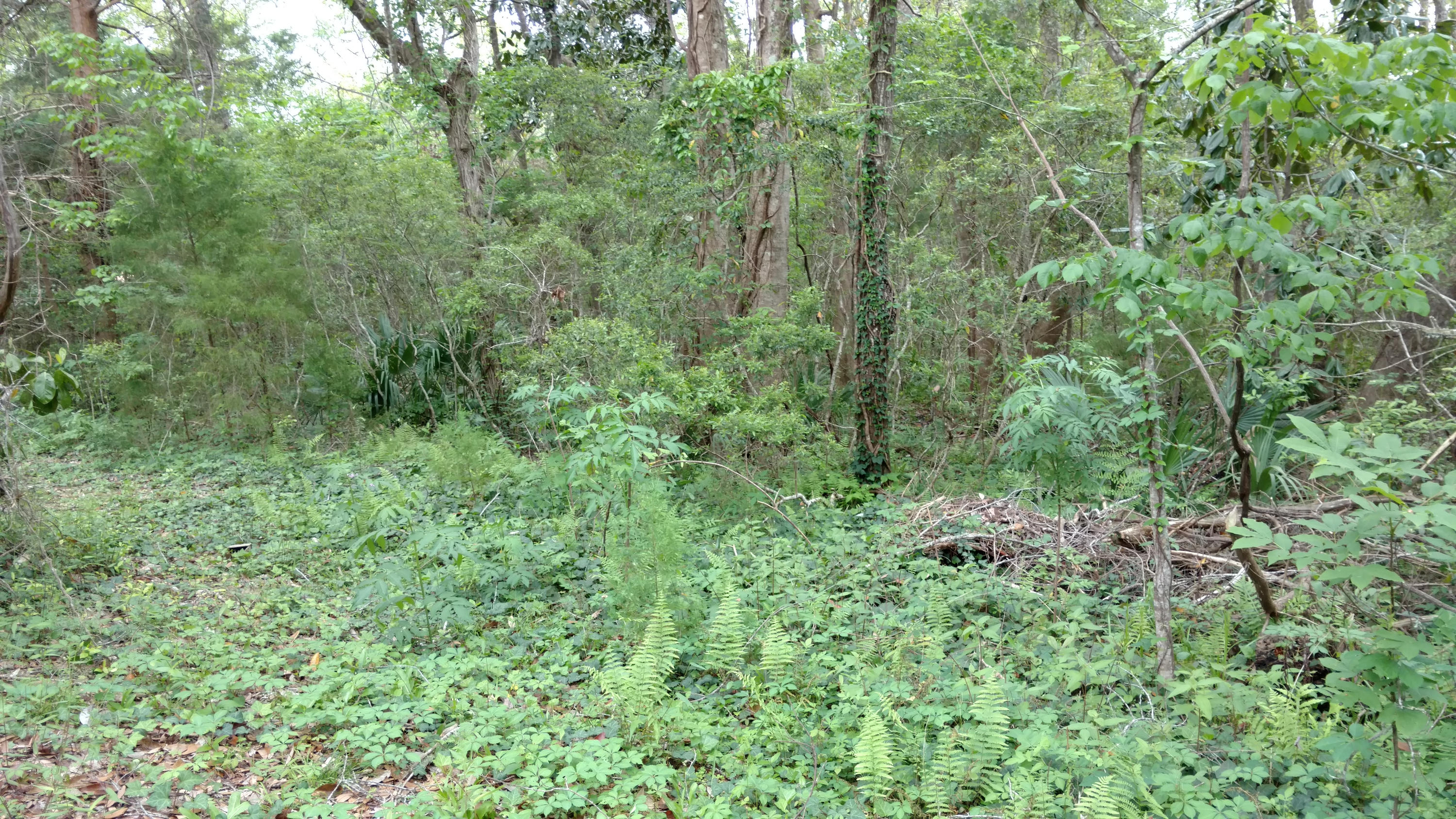 WATERVIEW COVE - Residential