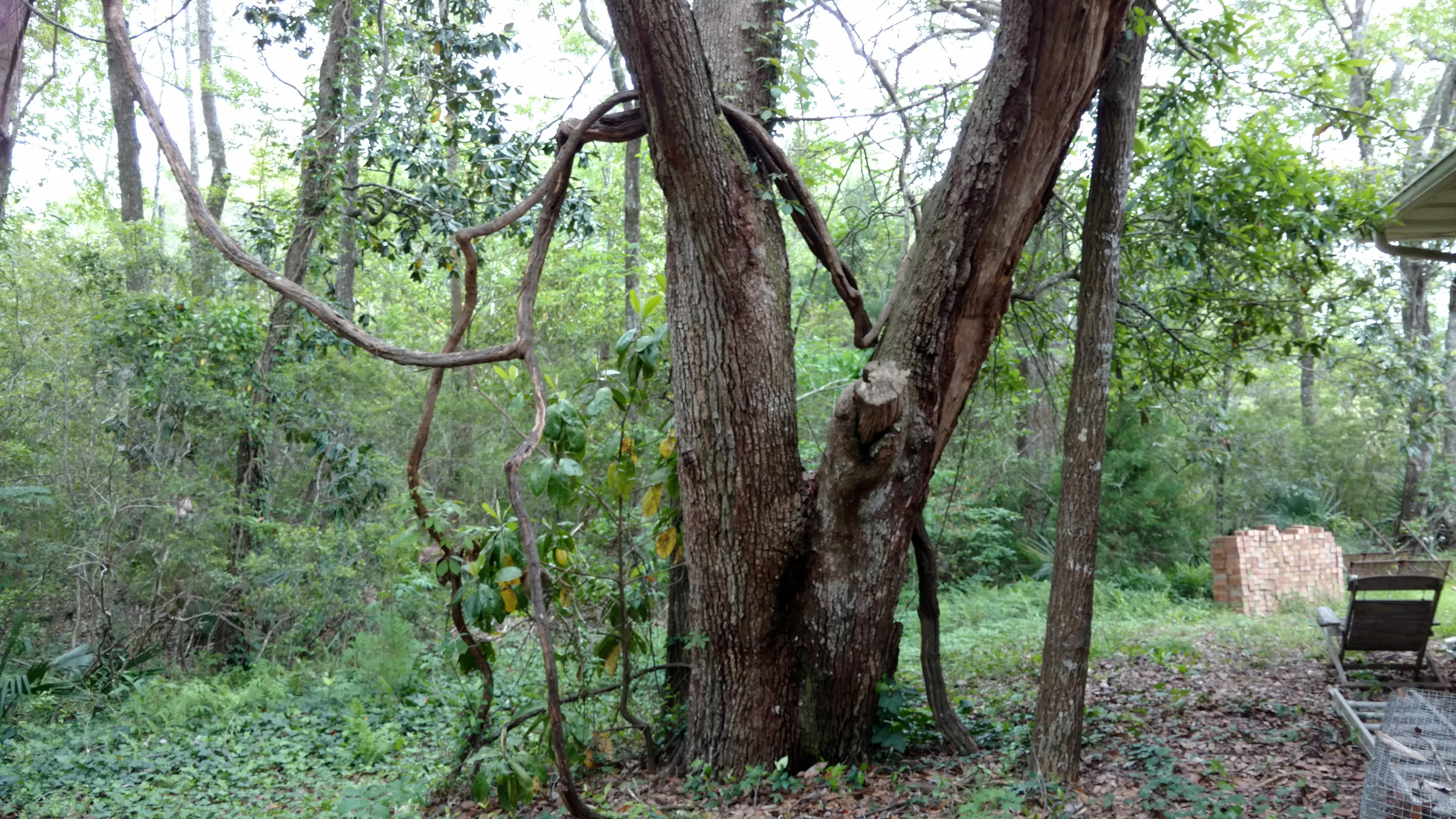WATERVIEW COVE - Residential
