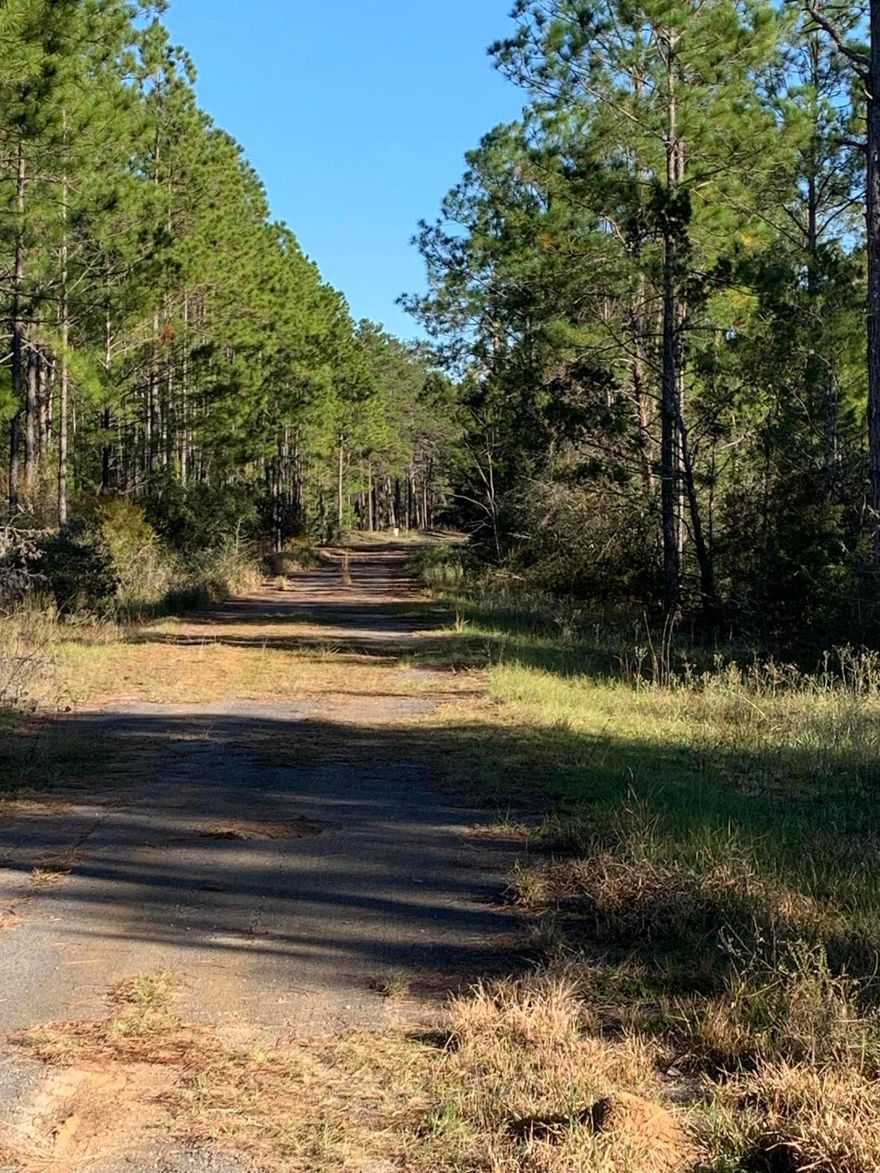 Beautiful wooded lot North of Bruce off Hwy 81.  This wonderful lot can't be beat for the price.  No active HOA, this lot would make a wonderful full time home or weekend getaway.  Easy access to the North and South part of the County.  Call today to see this wonderful lot.