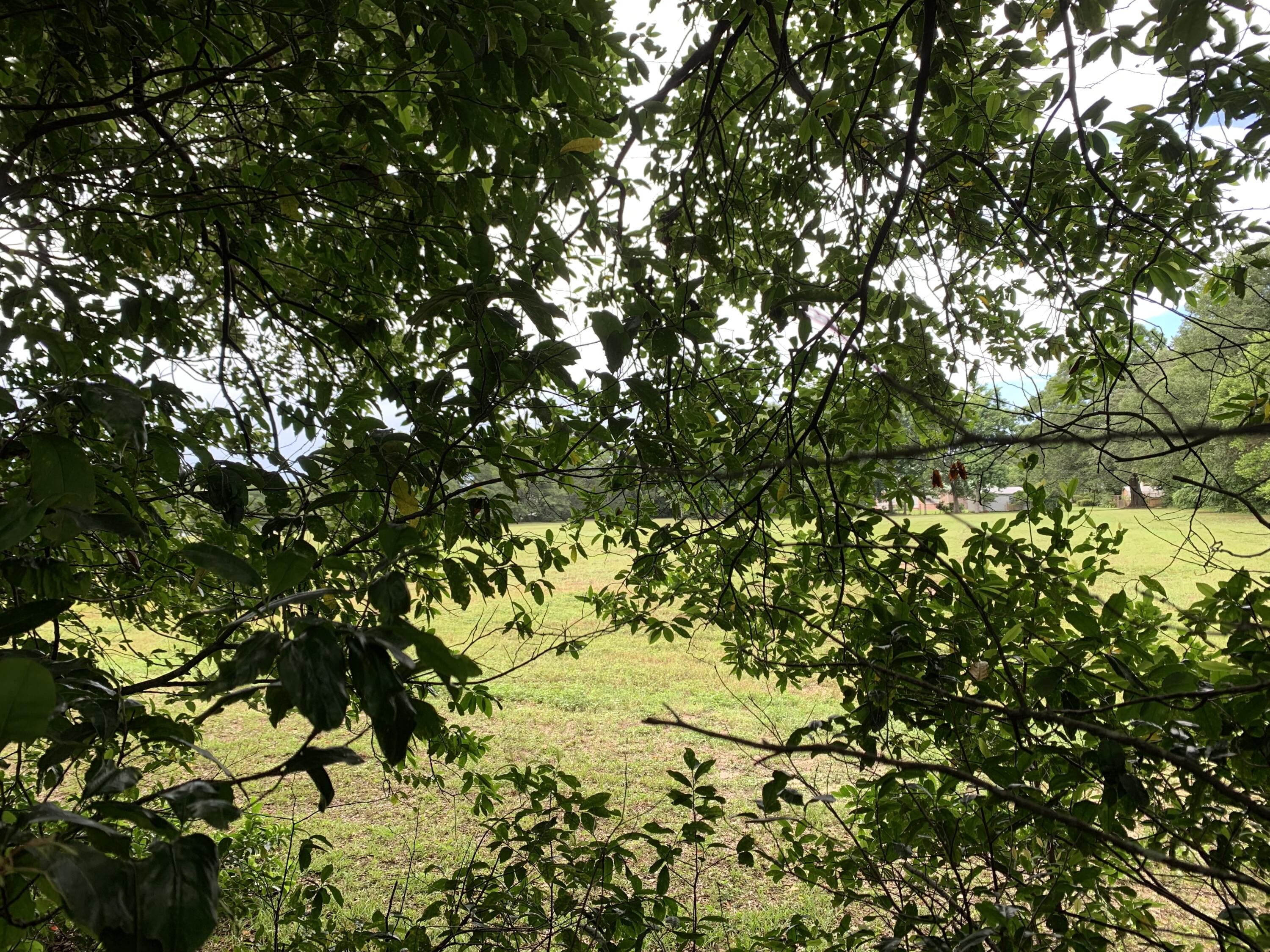 BEL-AIR S/D - Residential