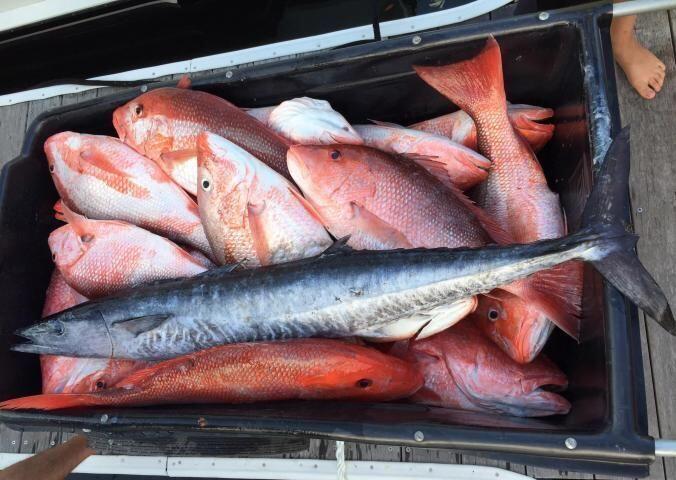 HAMMOCK BAY - FIREFLY - Residential