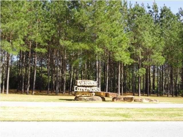 HAMMOCK BAY - FIREFLY - Residential